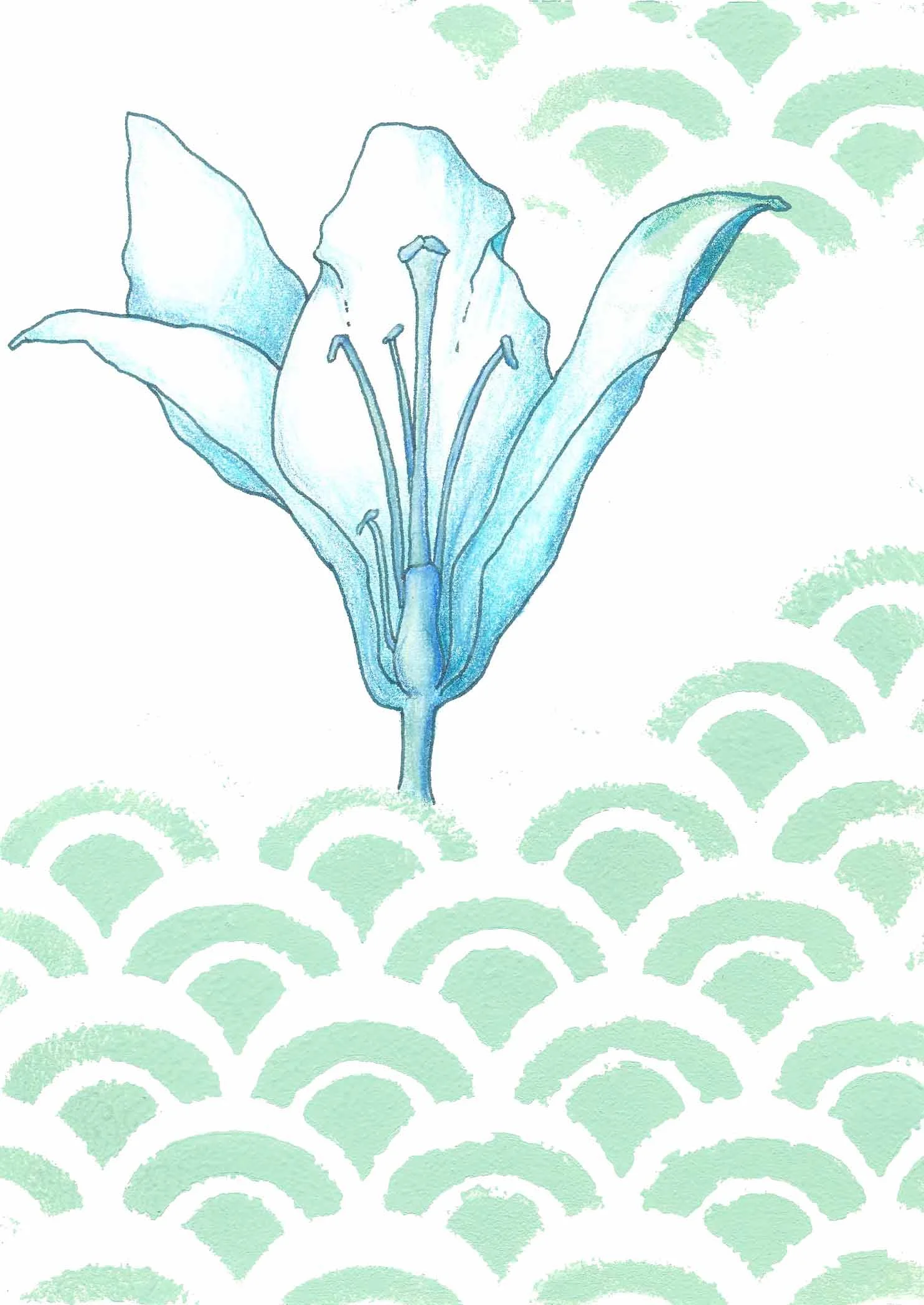 Lily Cross Section (Blue series) 