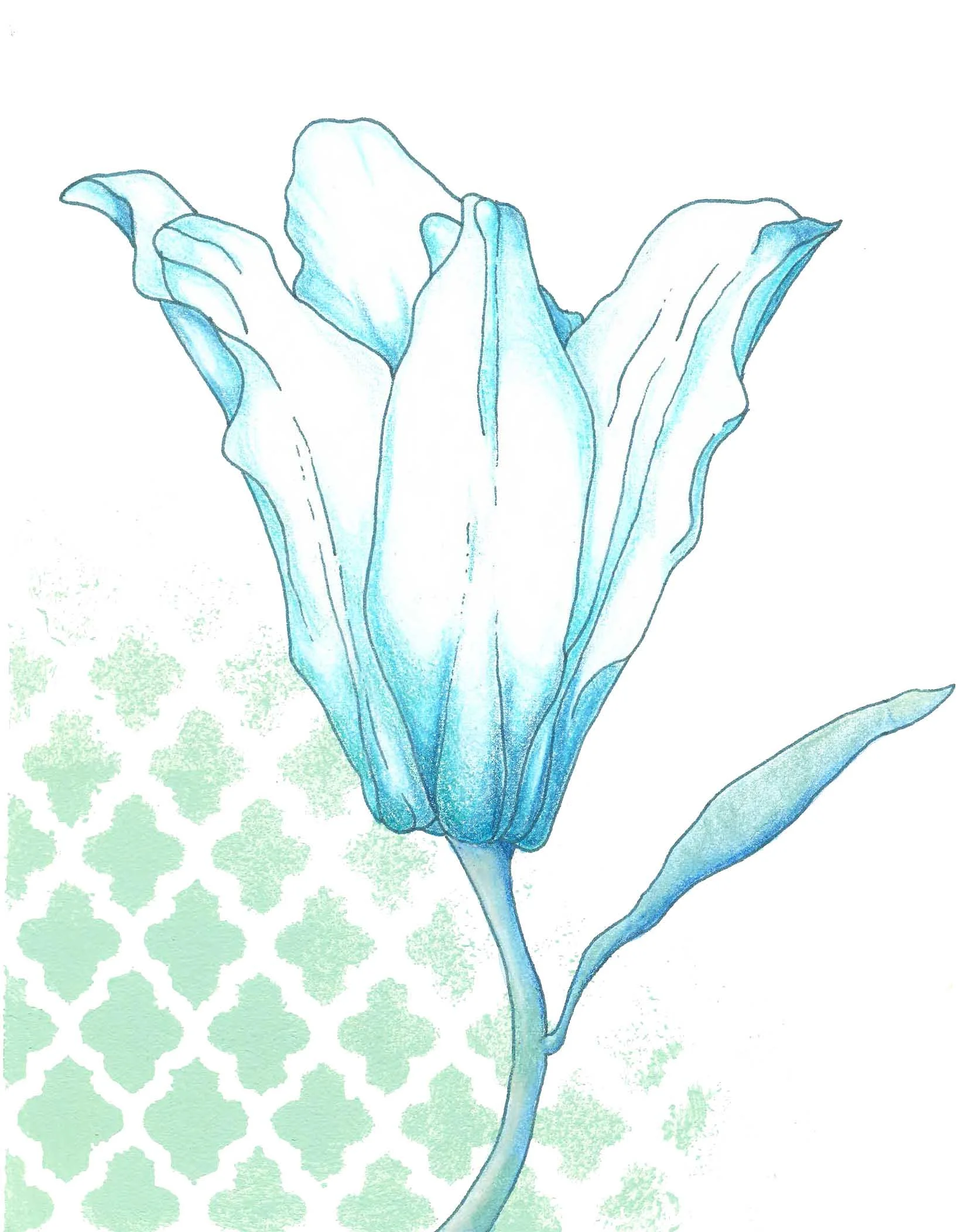 Lily in Bloom (Blue Series)