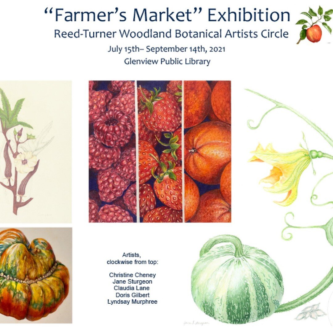 Happy to be part of this great group of botanical artists and this exhibit going on now at the Glenview Public Library. 

#reedturnerbotanicalartists #artexhibit #farmersmarket #inkandwatercolor #babybella #rosemary #greenbean #groupshow #natureart