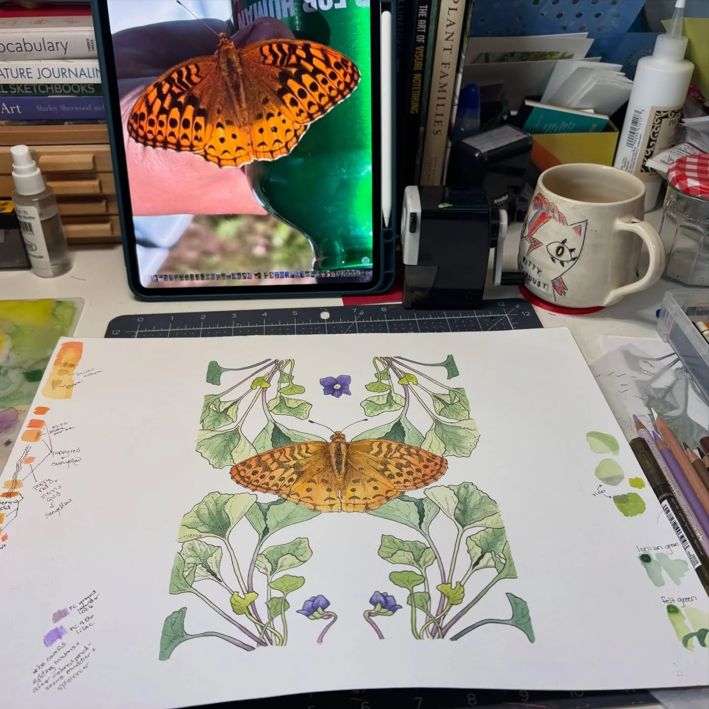 On my desk and I think it&rsquo;s finished! 
The Great Spangled Fritillary butterfly (Speyeria cybele) among its larval host plant and the Illinois state flower,  the common blue violet (Viola sororia). Scroll for short video of one of the final laye