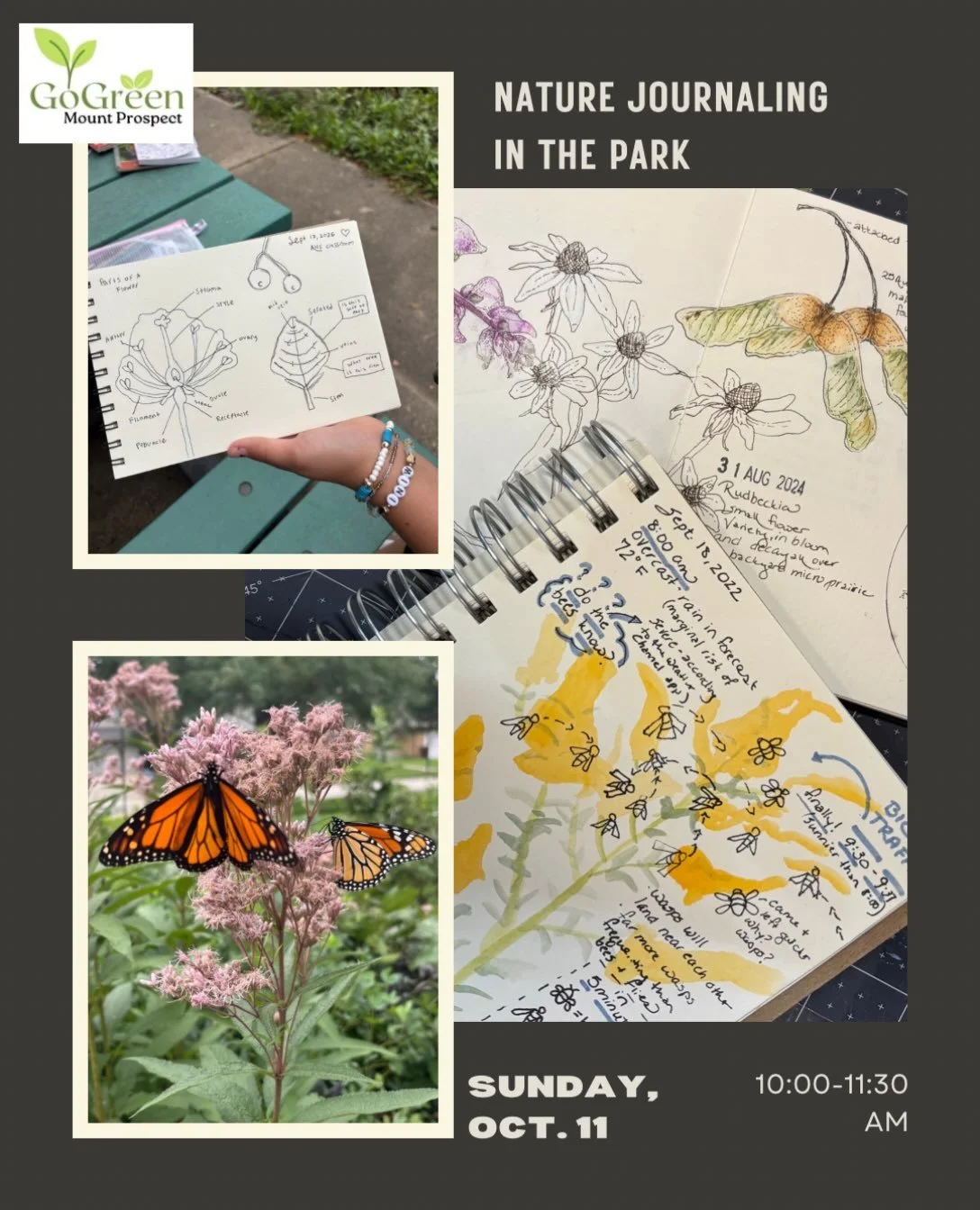 Come join us for a morning of nature journaling in Lions Park Mount Prospect this Sunday, October 11 from 10:00-11:30AM.  Free for adults and teens. No experience necessary.  Come learn about the plants and wildlife in the park and ways to document t