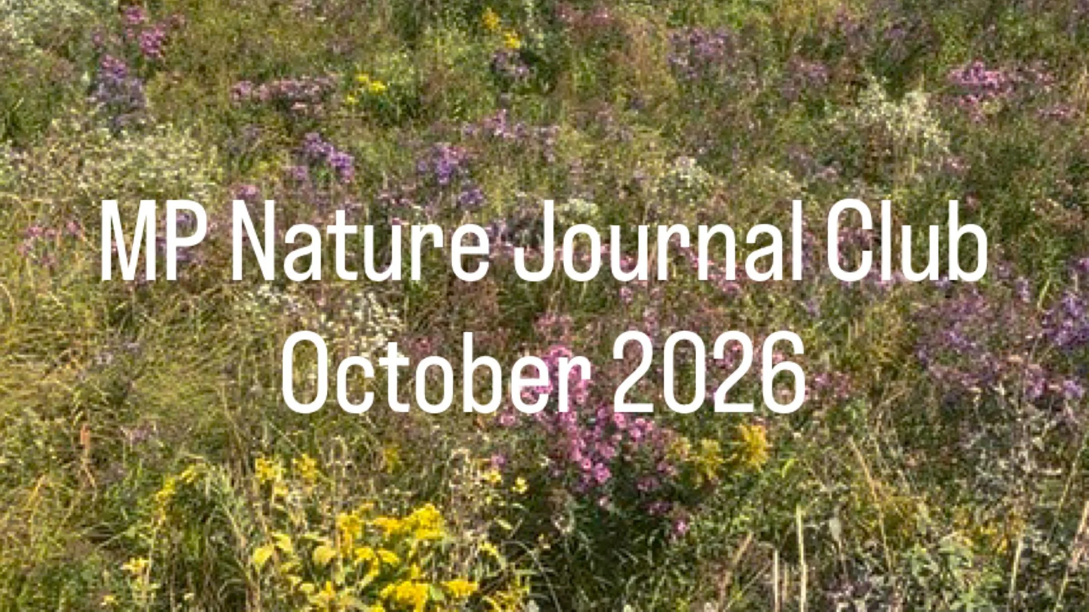 It was a great morning for a nature journal meet up at the park.  Thank you to all who came out! I will be posting a 📅 calendar 📅 soon for next meet ups! 

#naturejournalclub #naturejournal #mountprospect