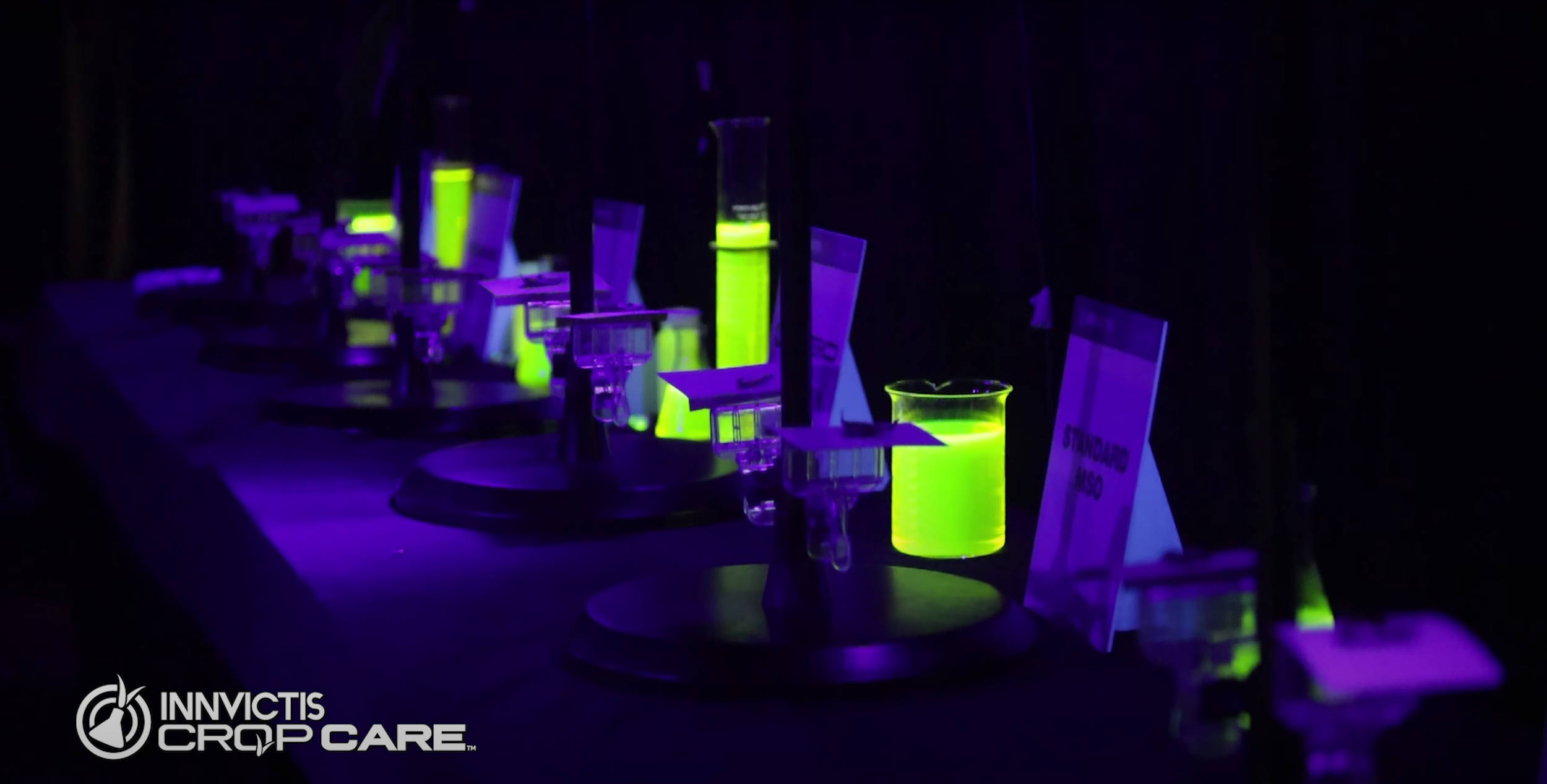 Screen Shot 2021-10-28 at 7.43.53 AM.png