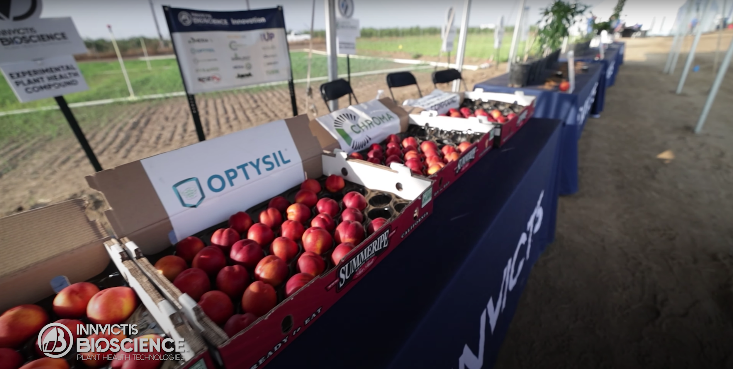 Screen Shot 2021-10-28 at 7.45.30 AM.png