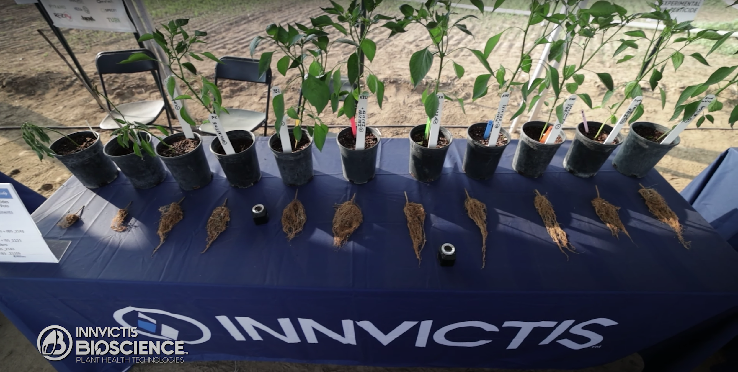 Screen Shot 2021-10-28 at 7.45.41 AM.png