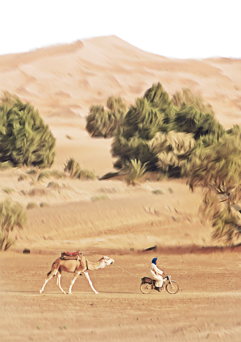 camel A2_v2 copy cweb.jpg