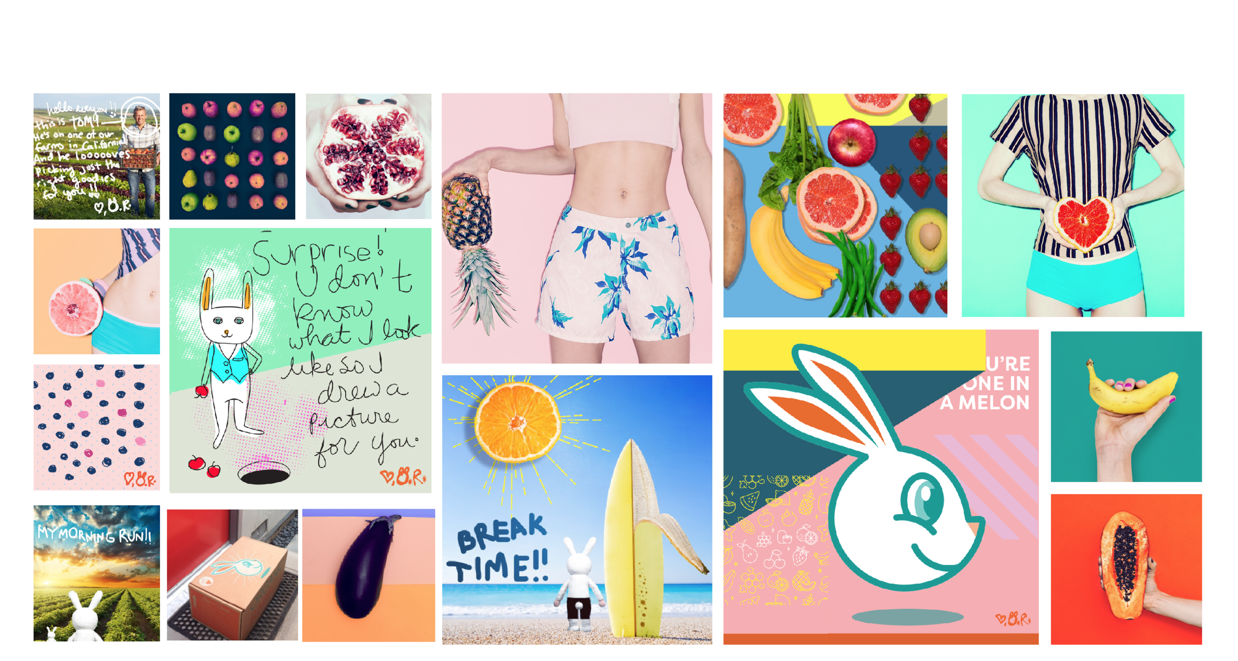 Organic Rabbit Instagram