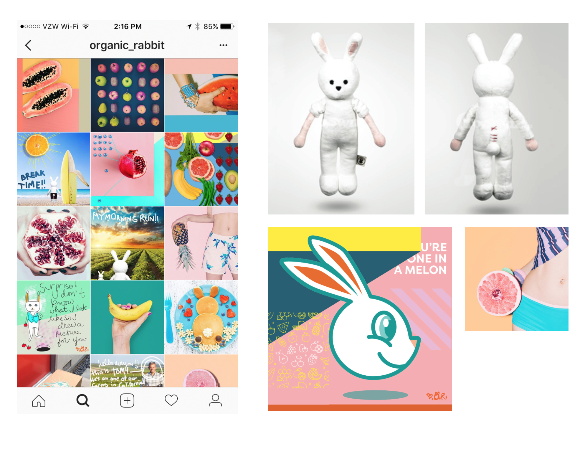 Social Media which includes the rabbit mascot used in photos. We wanted to give the company a fun personality through the eyes of a character telling stories from the farm in the form of letters, art, post cards, experiences and interactions with those on the farm whether farmers or other animals. More Organic Rabbit social media can be seen here .