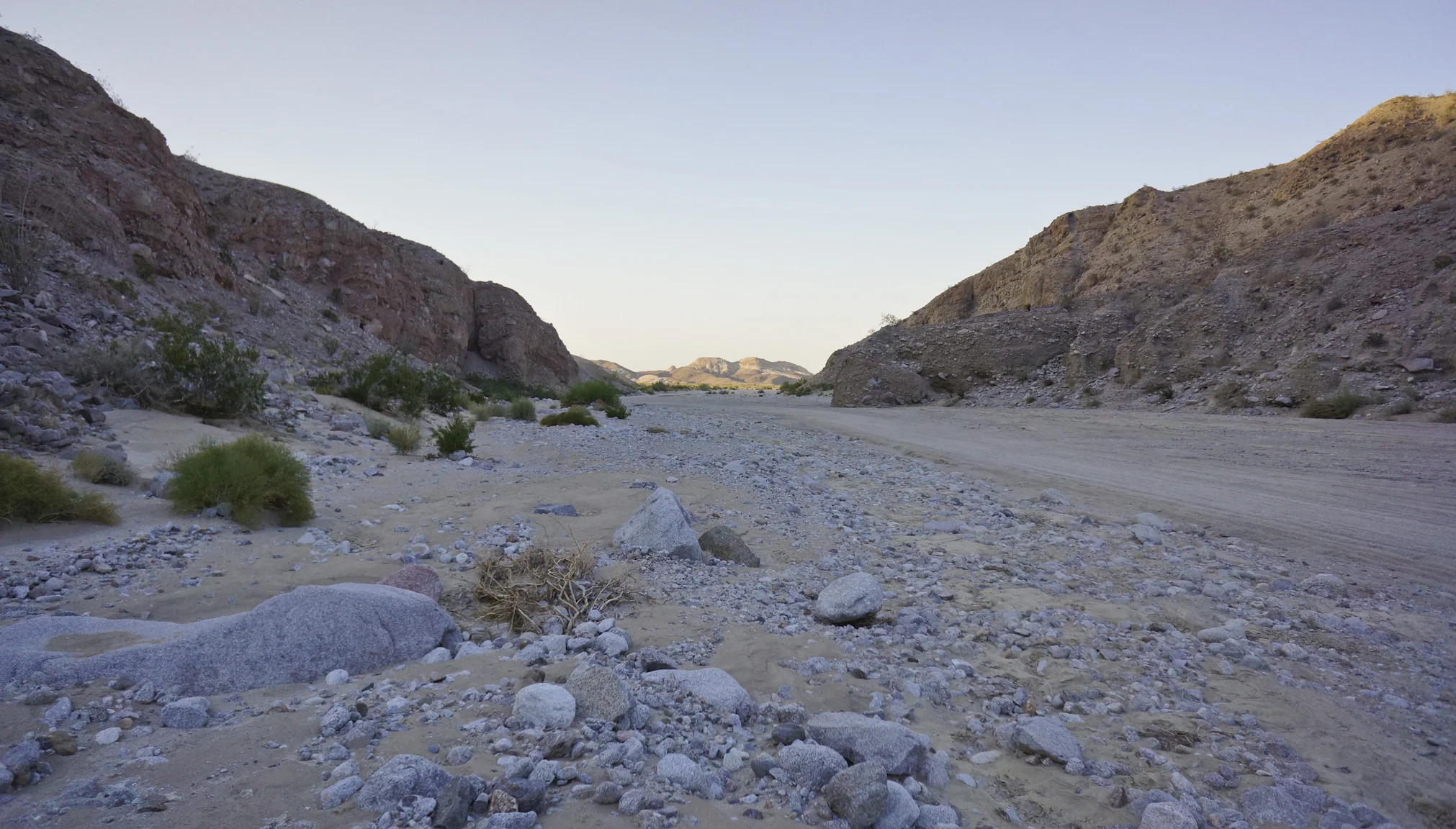 Going back to Borrego was tempting. (c) Josh Spice 2013