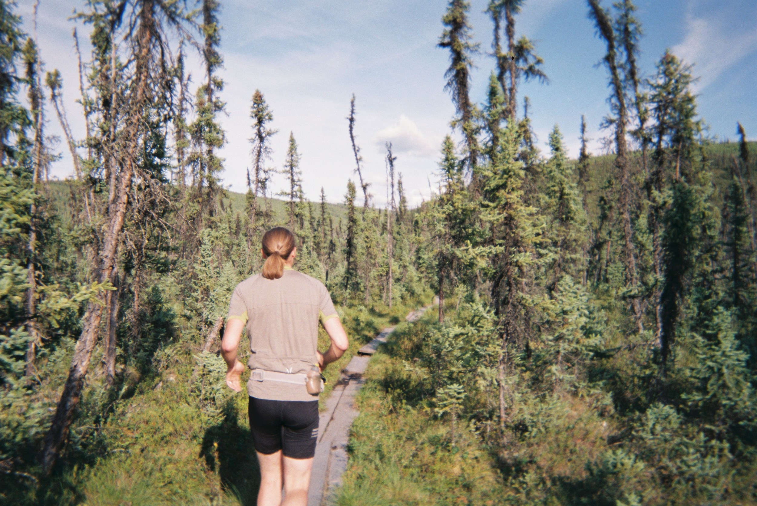 Beginning Boardwalk