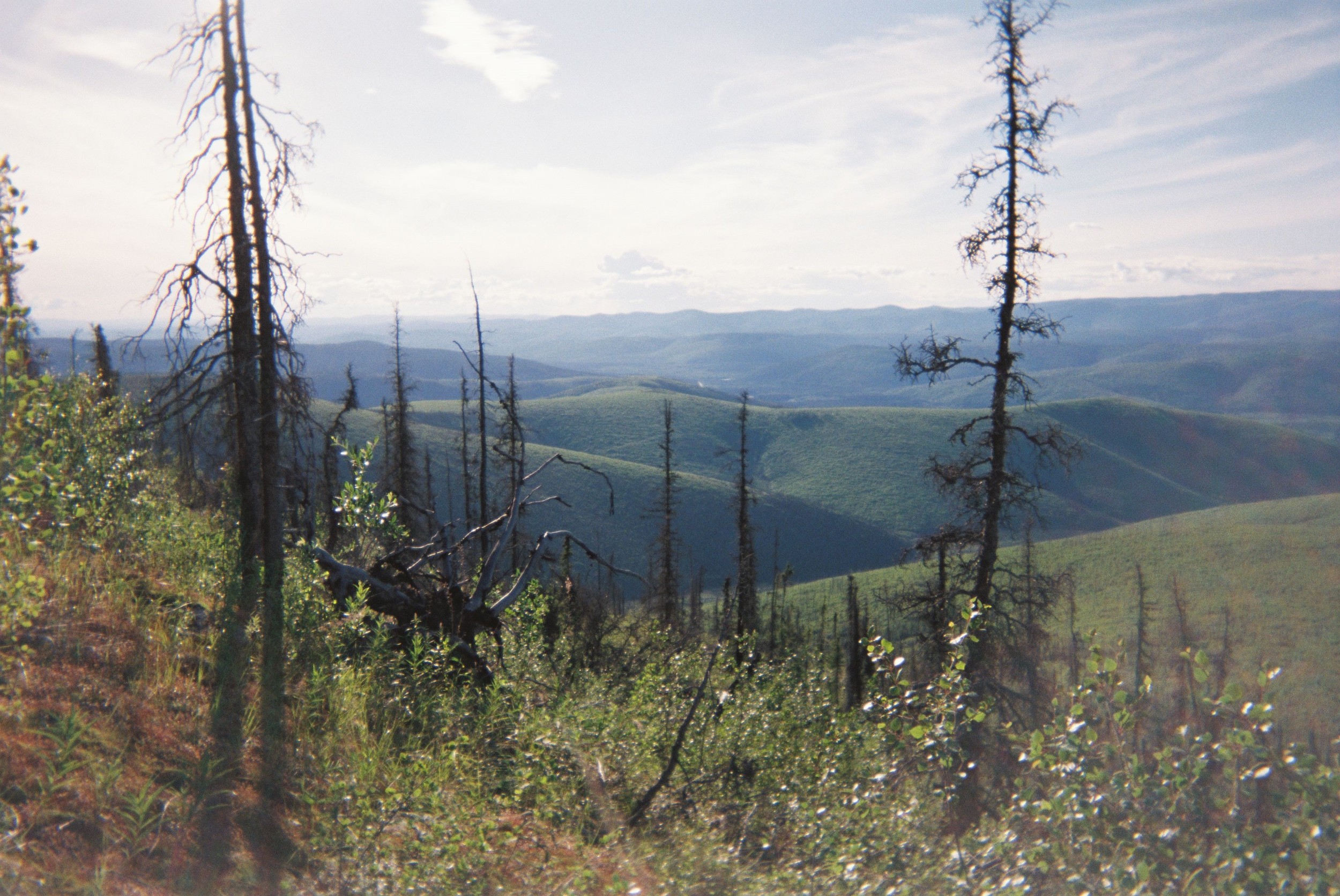 Mountains in the distance