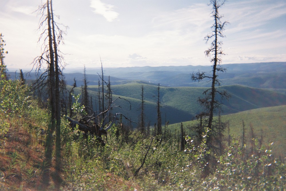 Mountains in the distance