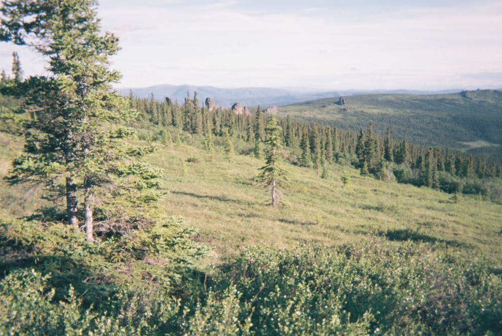 Mountains in distance