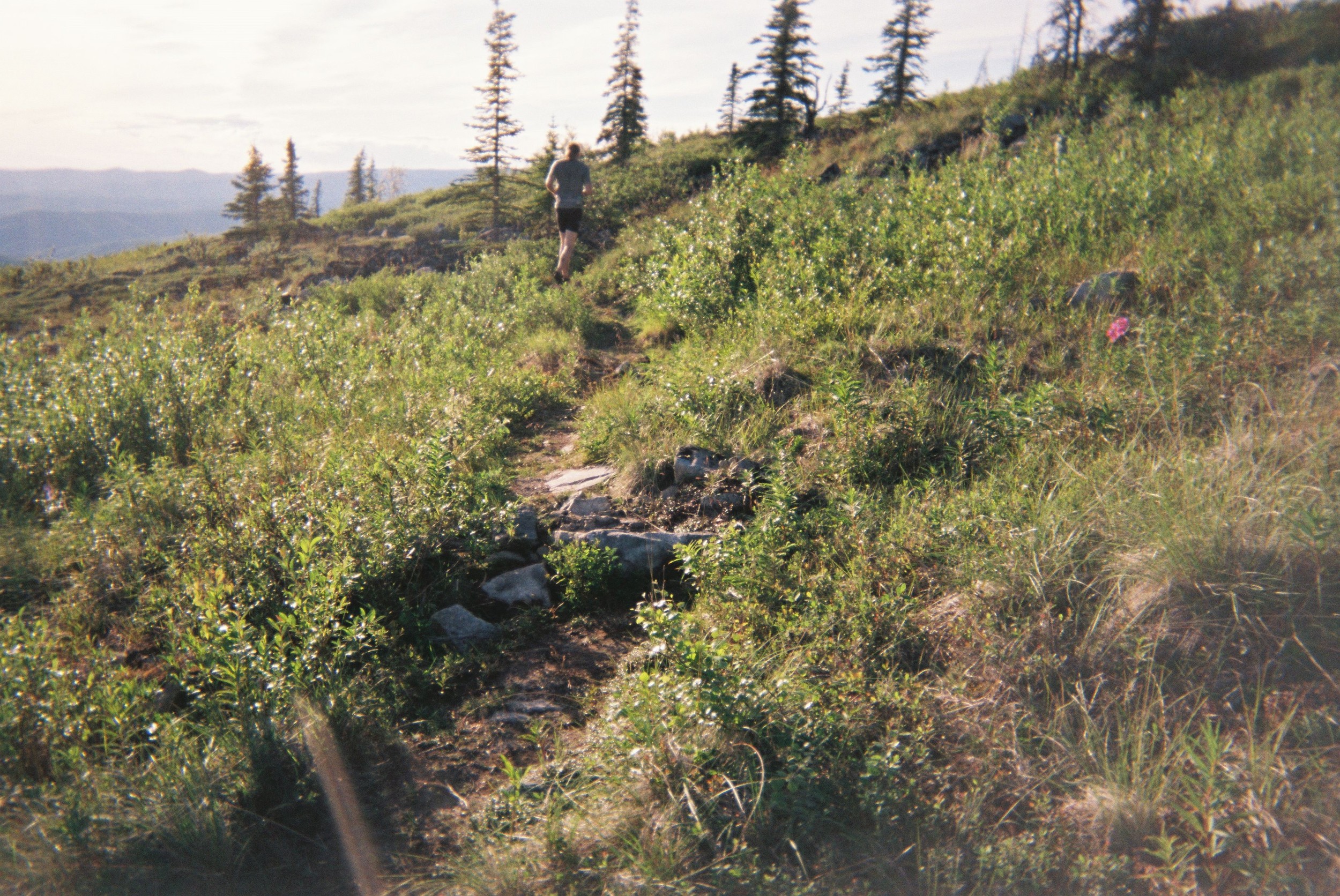 The trail ahead