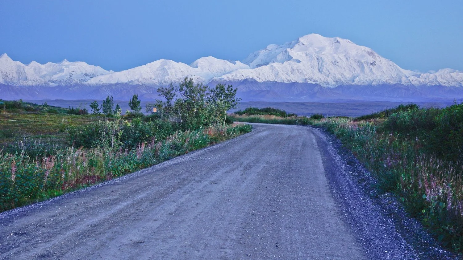 Denali+from+Wonder+Lake+Park+Rd.jpg