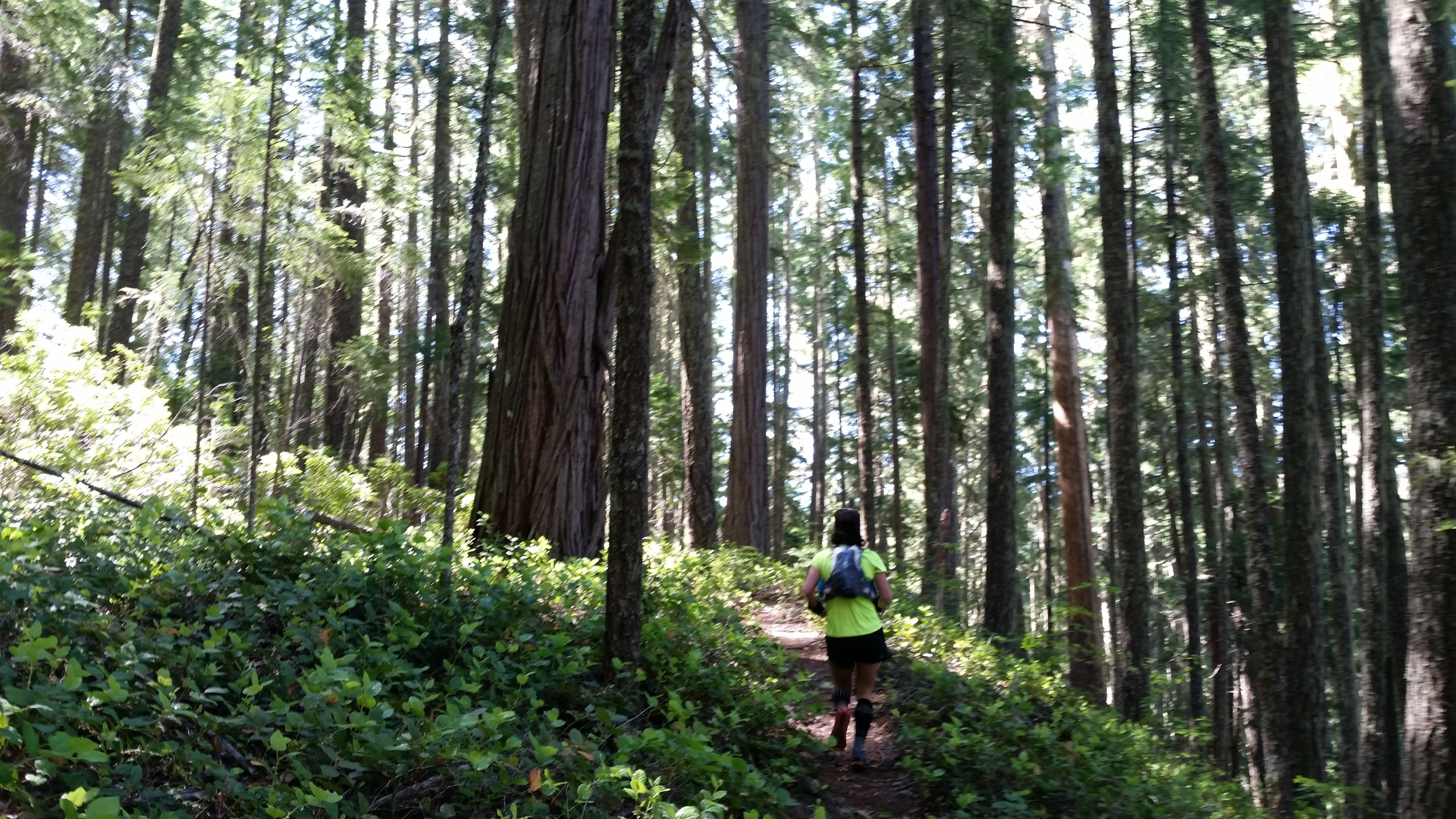 Liz Pollak setting a solid pace on the NUT 50k