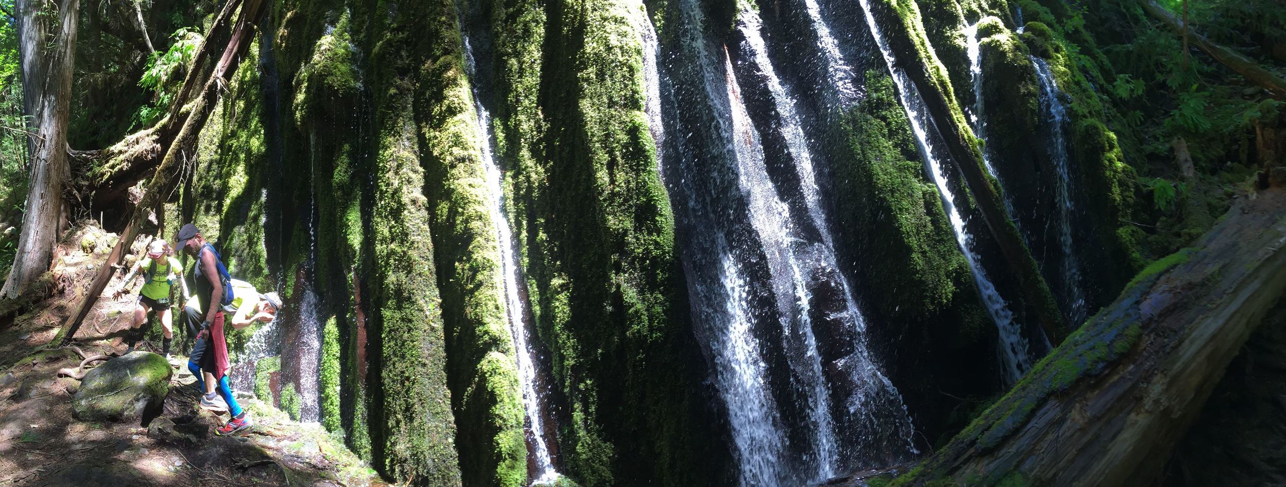 Drinking straight from a trailside waterfall. Photo by Ashley Gerber.