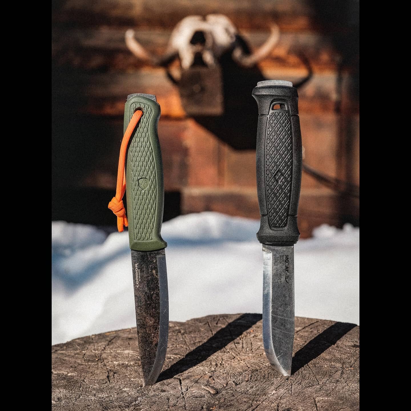 MY NEW FAVORITE KNIFE: If you're lookin' for a #bushcraftknife or just an all around reliable blade and don't want to spend hundreds of dollars, I am completely wowed by the @condortk Terrasaur, pictured here with the Morakniv Garberg (black handle).