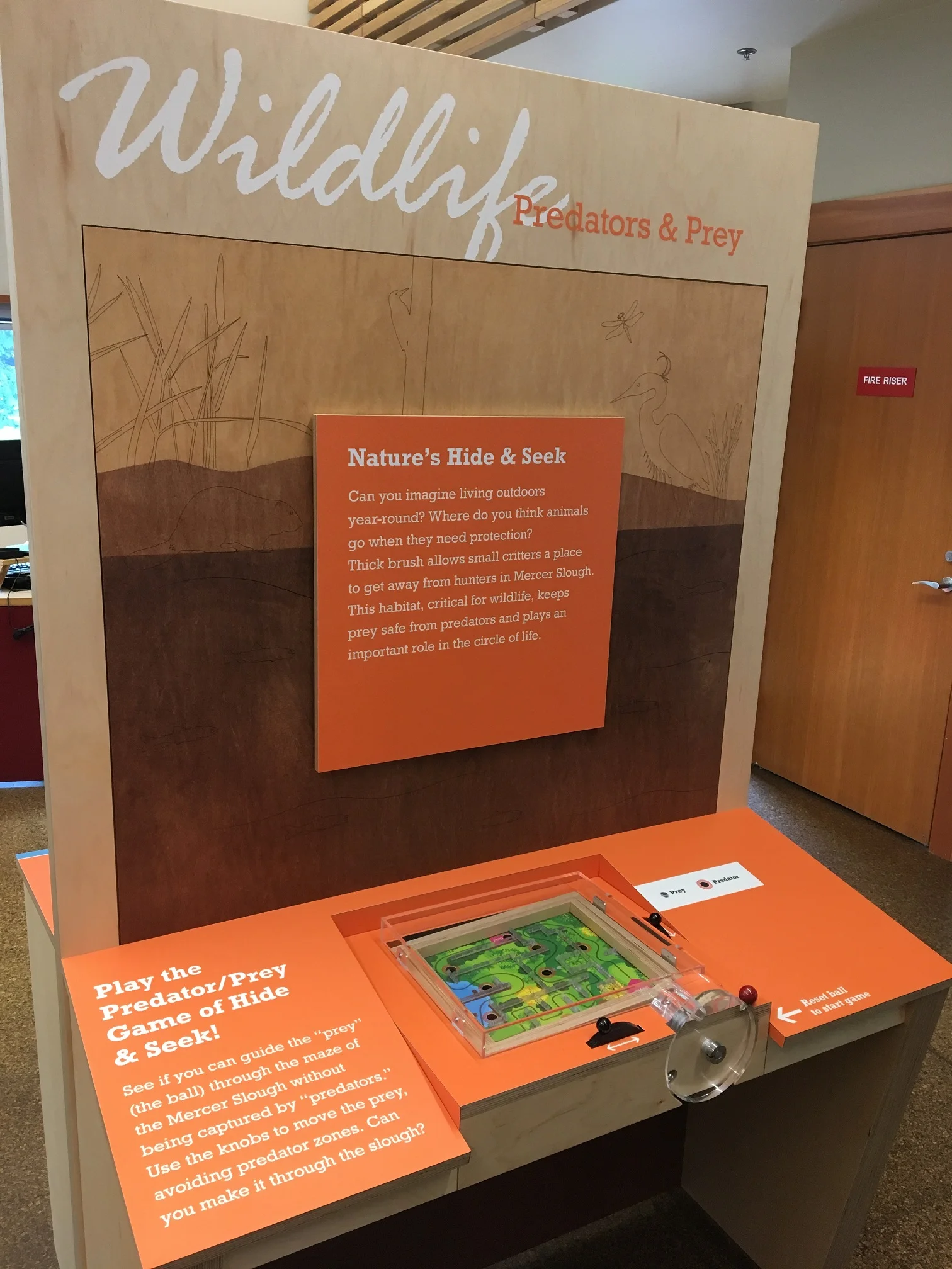 Mercer Slough EEC_32.jpg