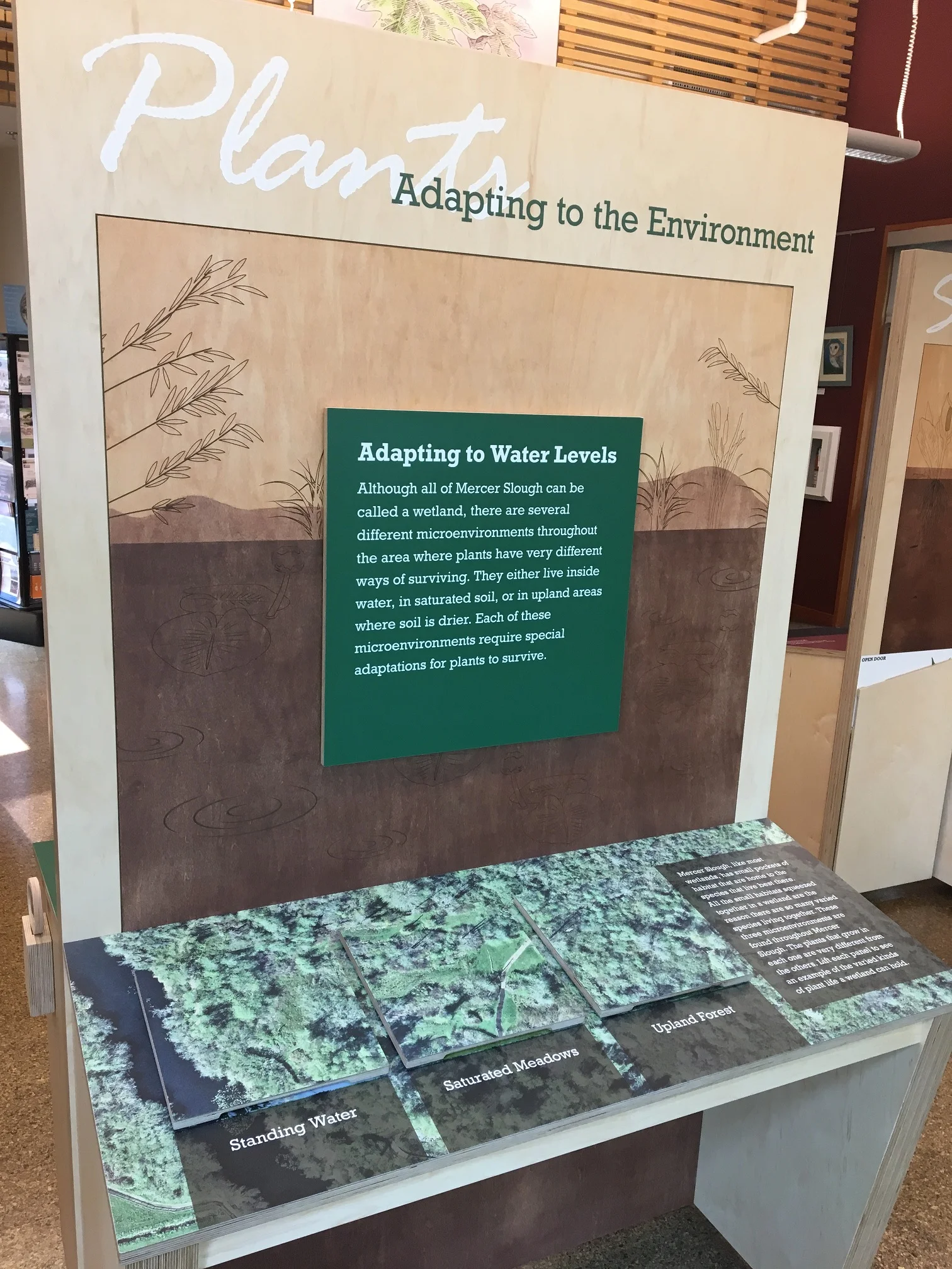 Mercer Slough EEC_28.jpg