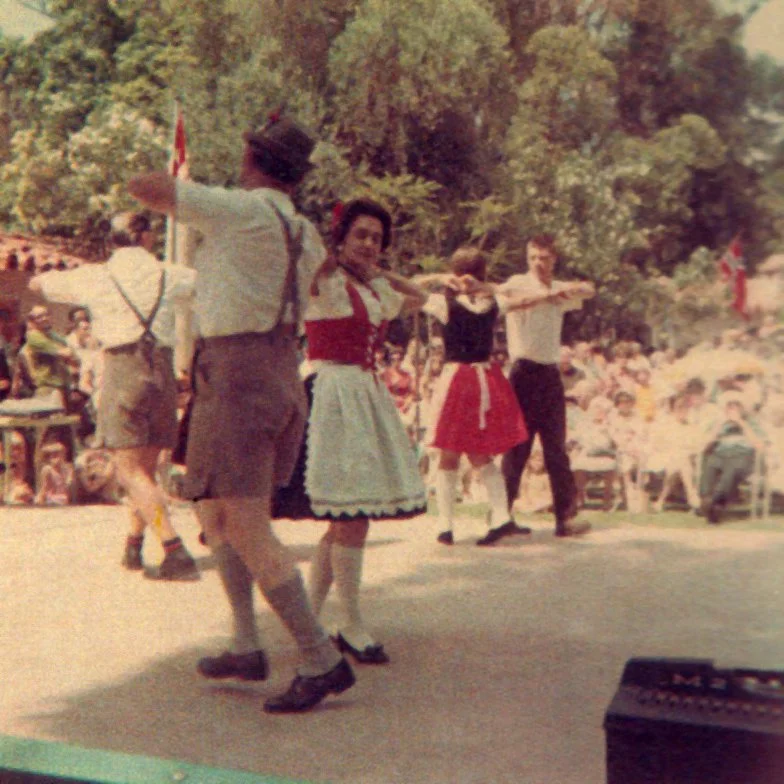 Lawn Program Performance (1969)