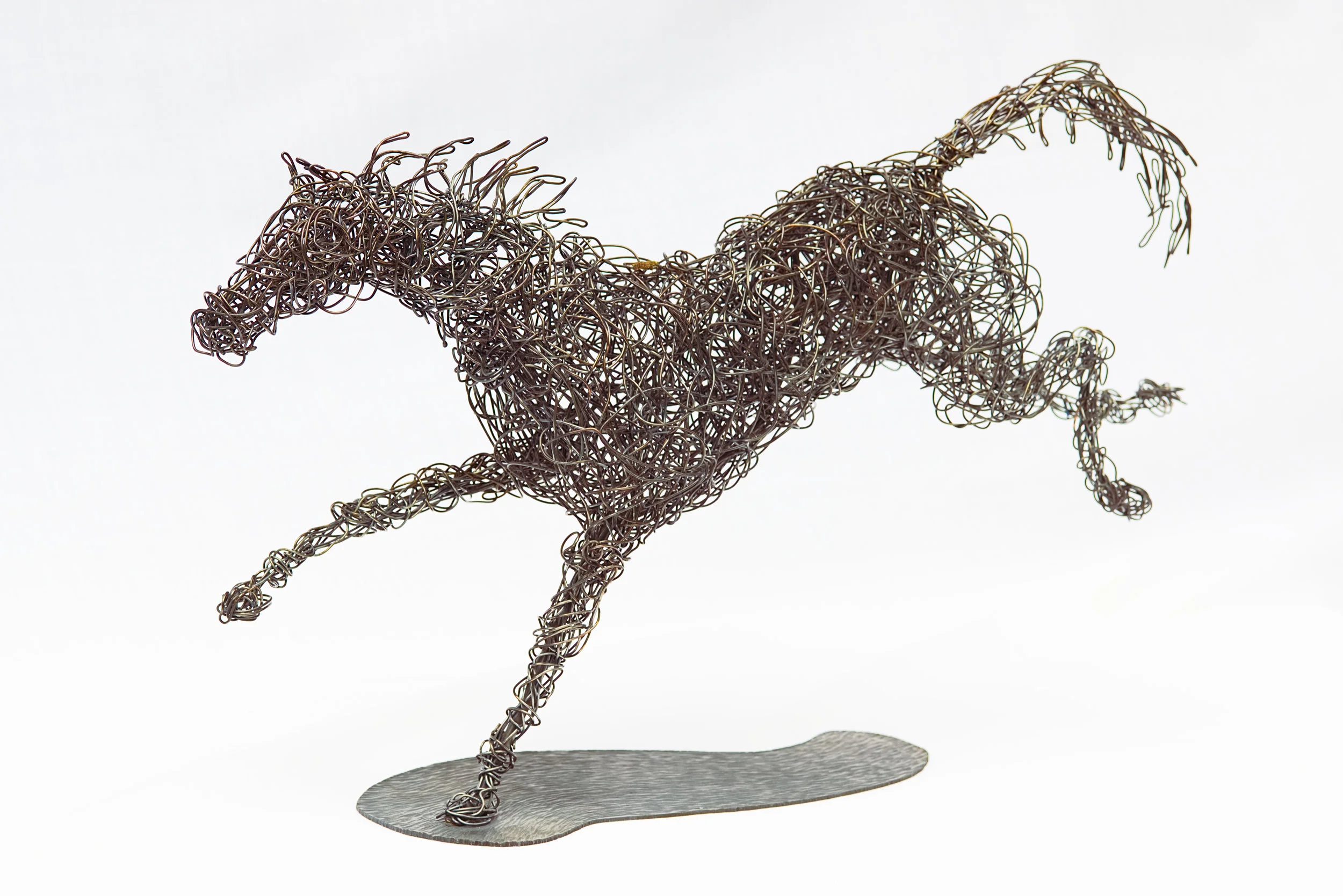 horse for website.jpg