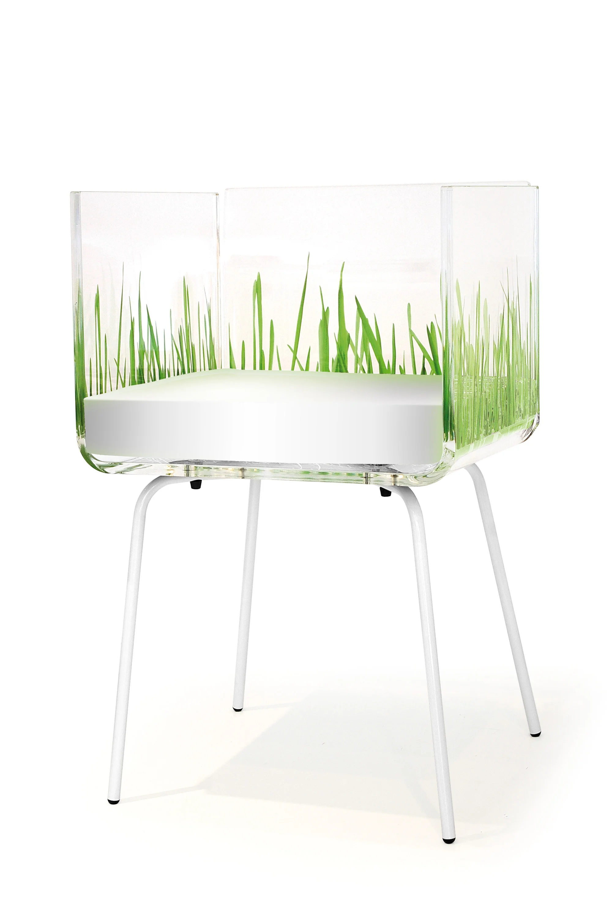 fauiteuil cali herbe coussin blanc.jpg