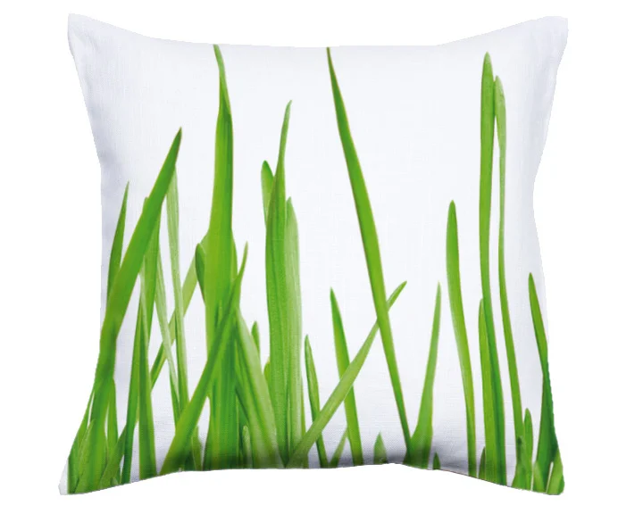 coussin herbe.jpg