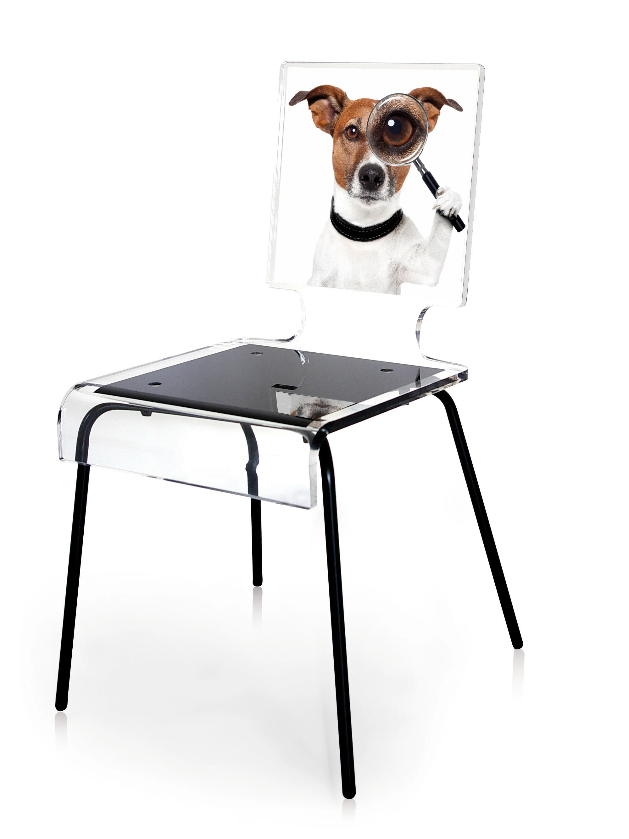 Graph chien.jpg