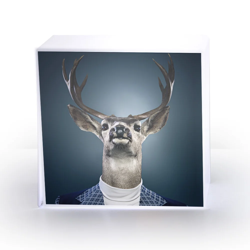 LAMPE cube cerf.jpg