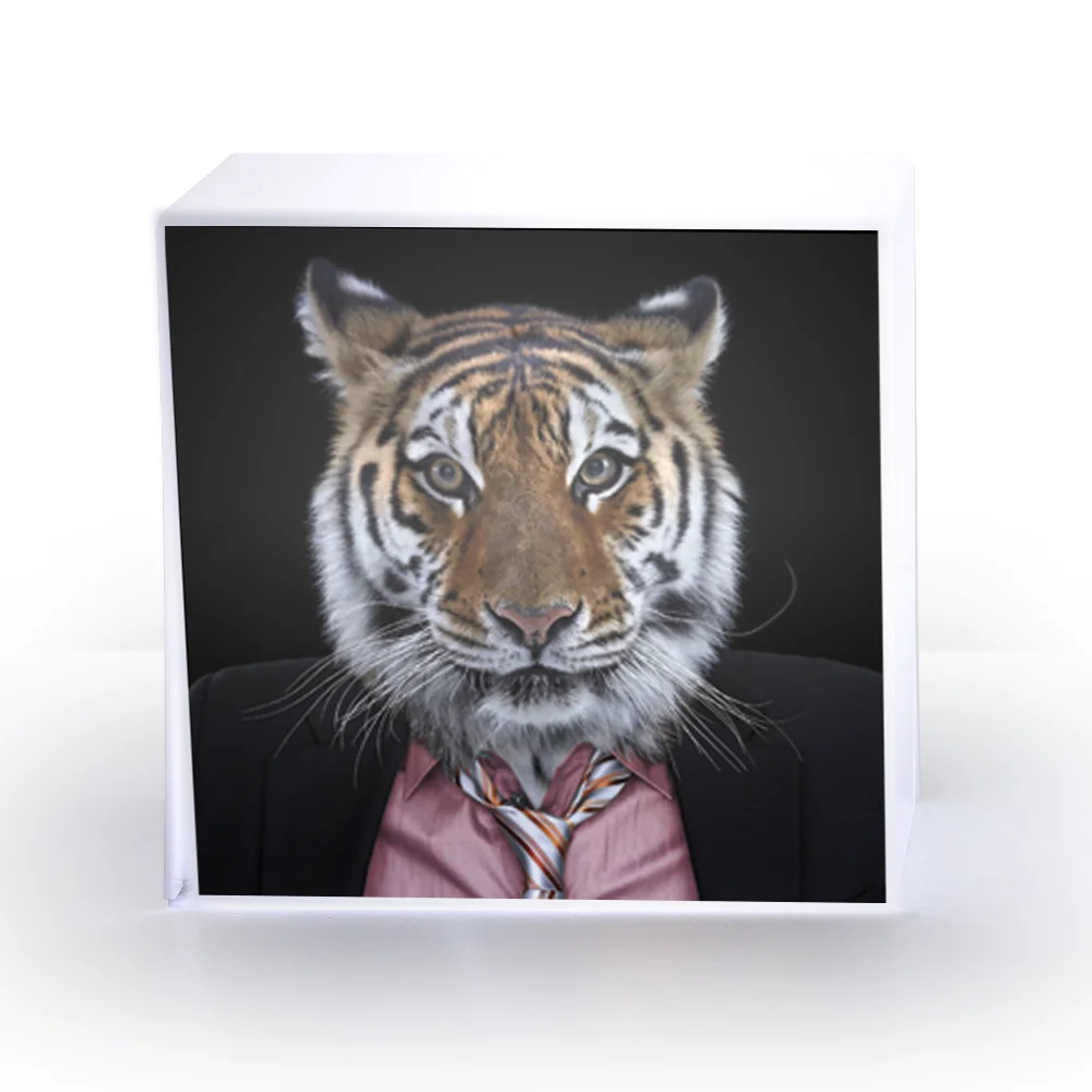 LAMPE cube tigre.jpg