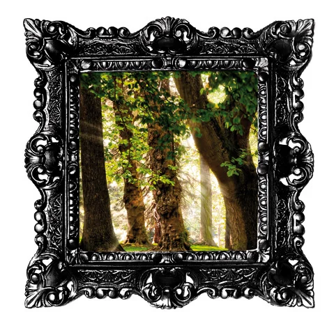 Petit Cadre noir foret.jpg