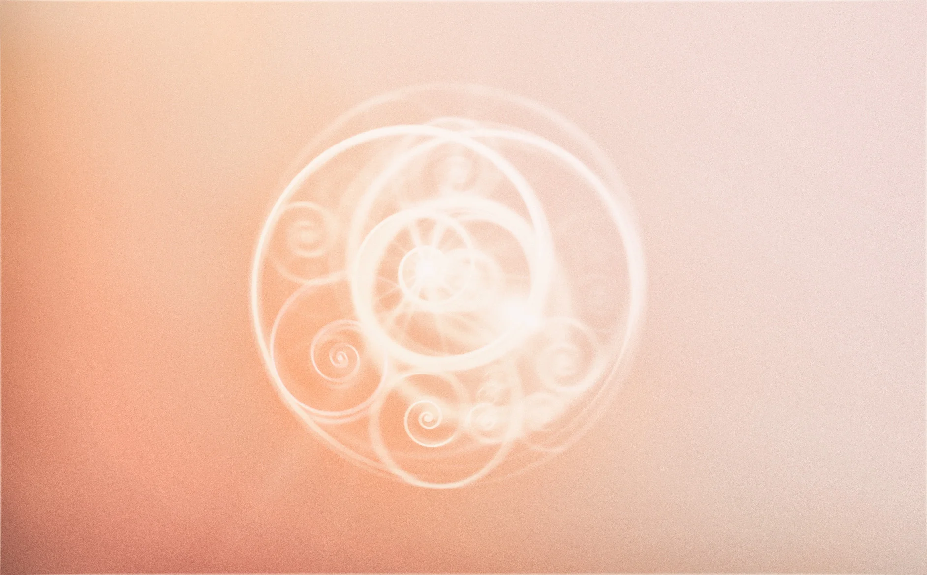 Amplify Your Genius.jpg