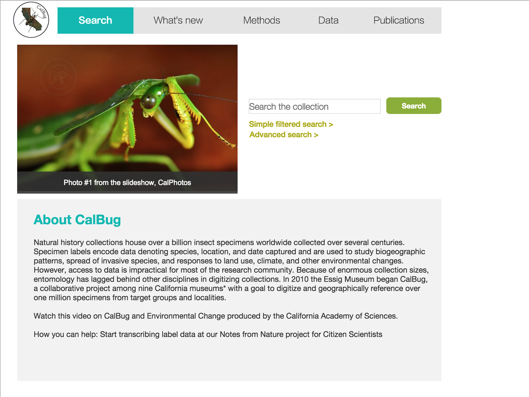 Mockup: New landing page