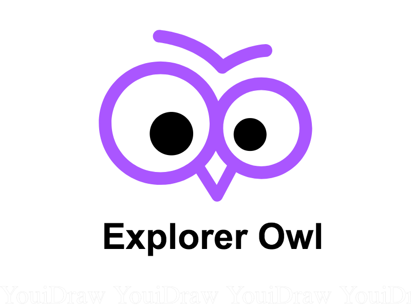 Explorer Owl