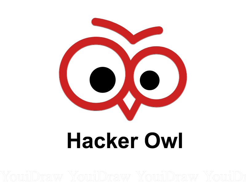 Hacker Owl