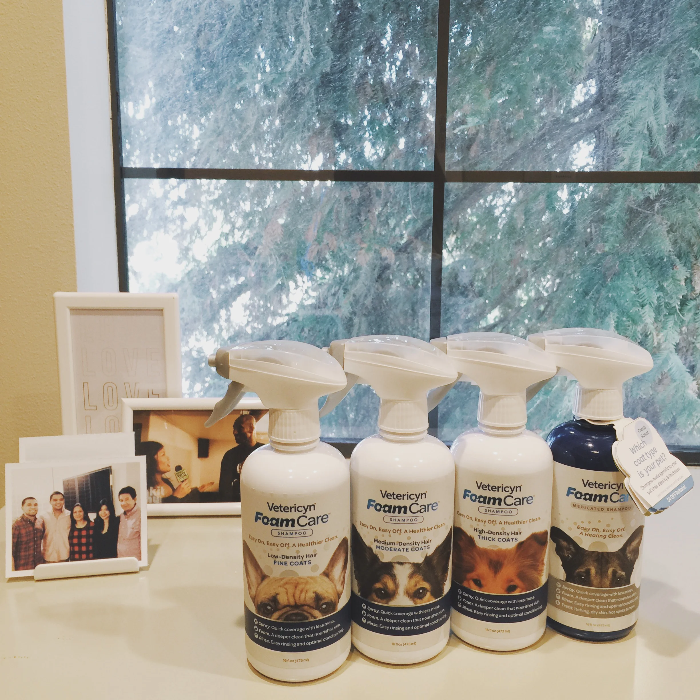 2016 in review - product launch