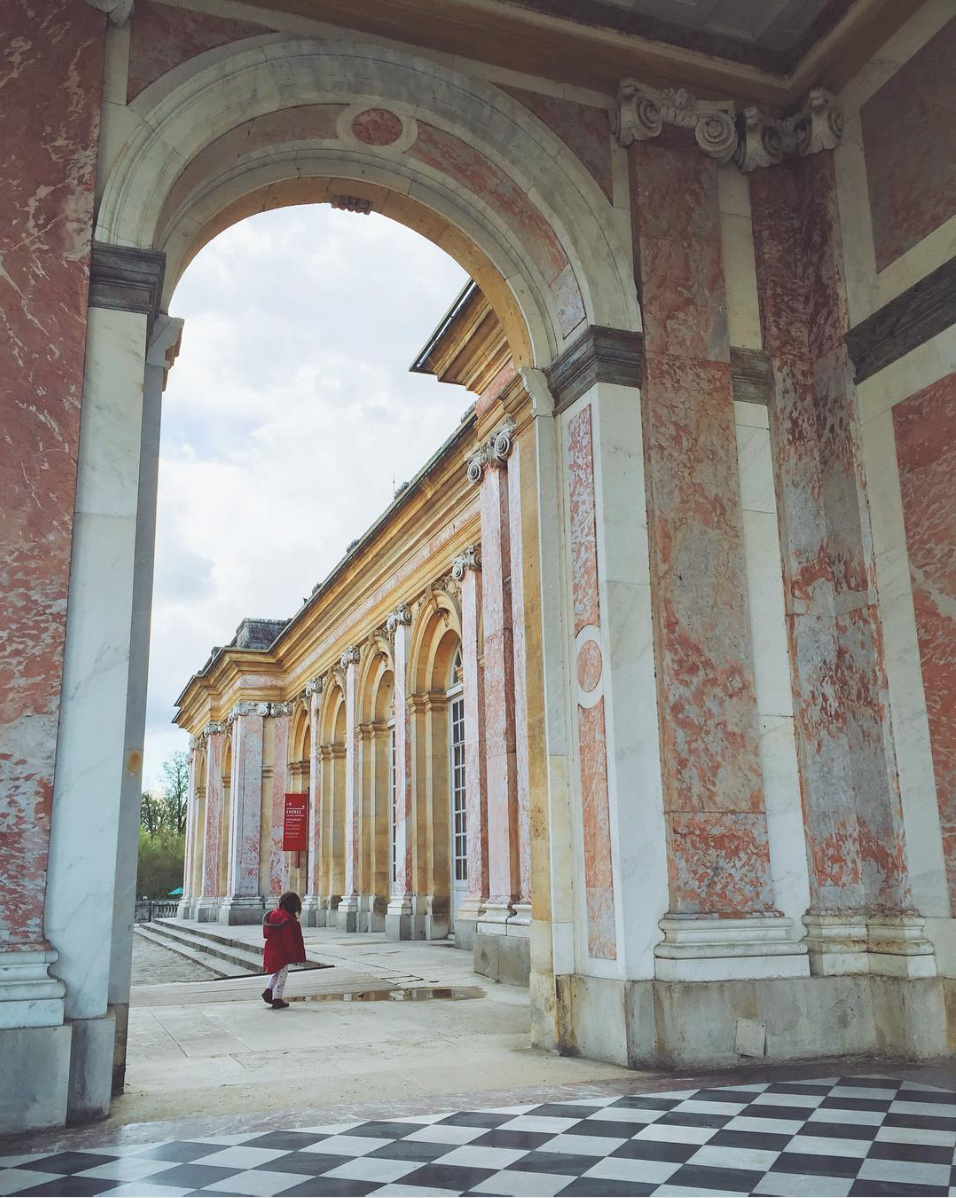 Think Pink - Versailles