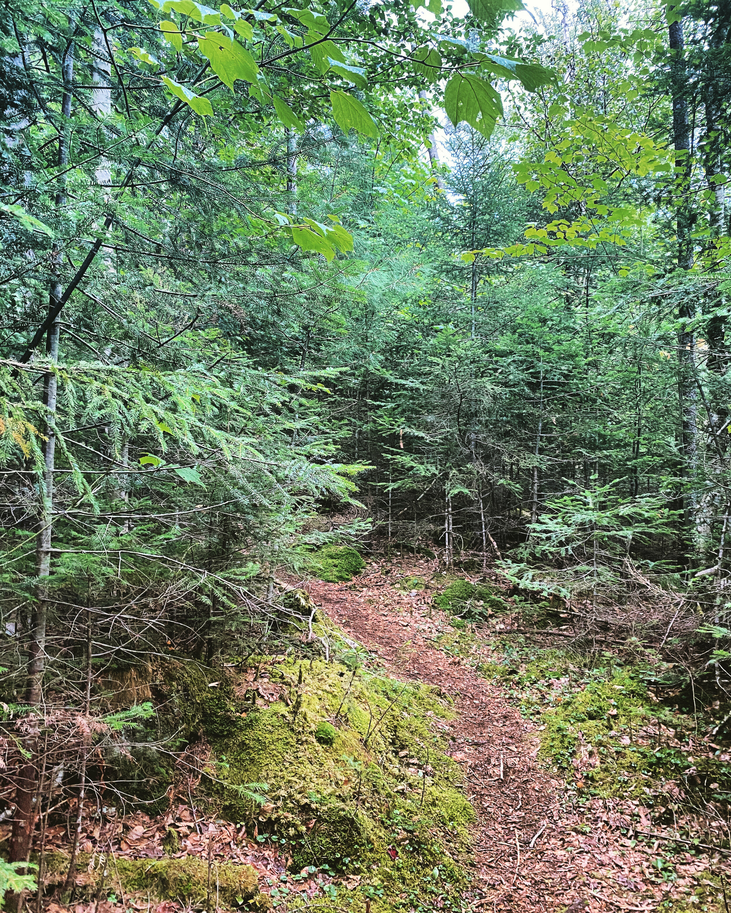 Upstate NY - Lake Placid