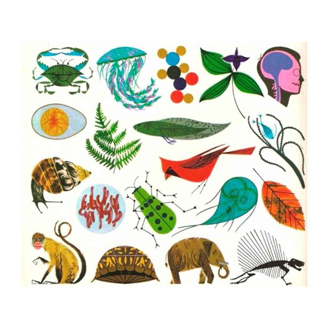 Inspo shout out: Charley Harper
.
We&rsquo;ve long been fans of his perspective of nature, use of color, geometric shapes, and the distinct mid-century feel of his work 👌🏽
.
.
.
#artist #illustration #artinspo #charleyharper #art #happy #midcentury