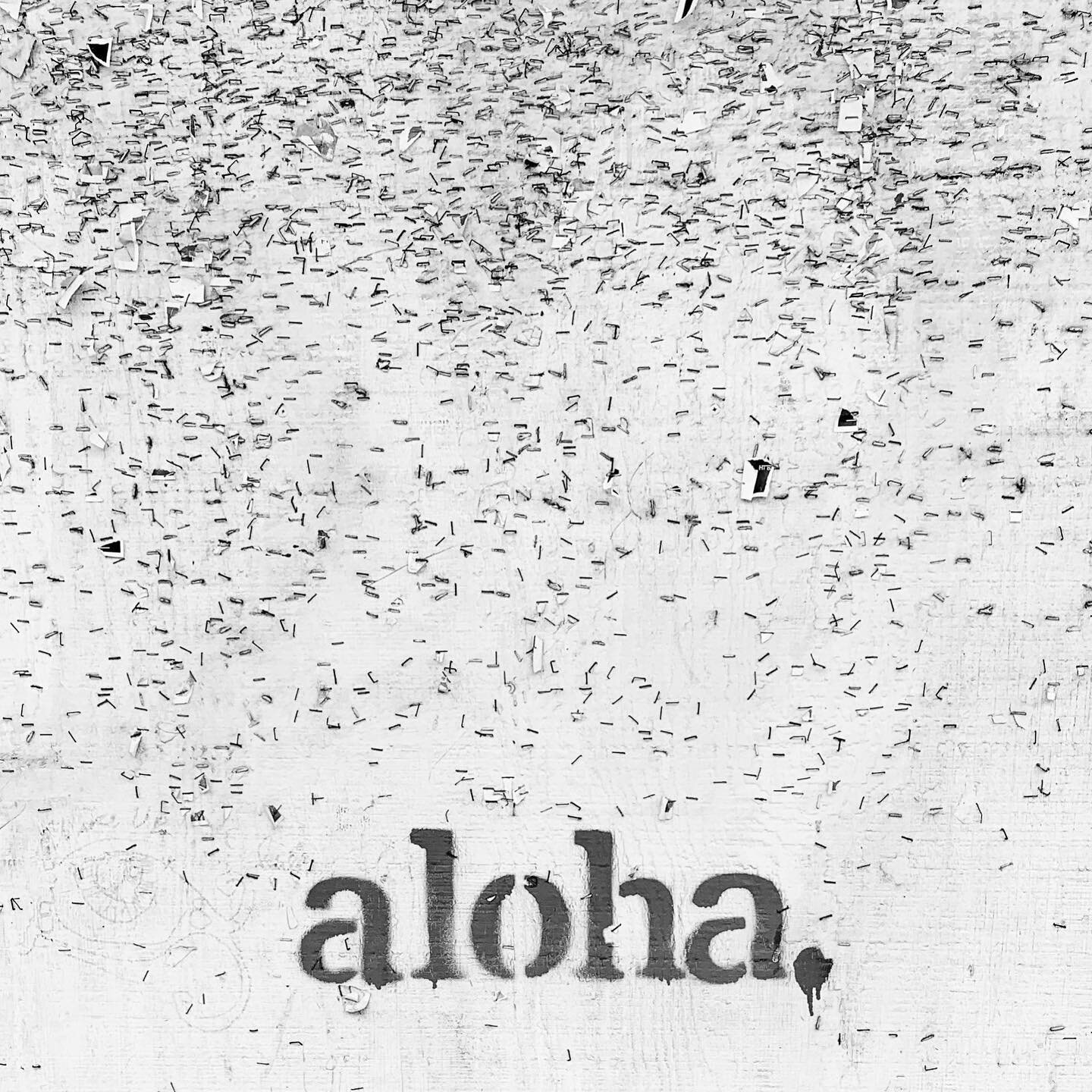 served daily
.
.
.
#aloha #kaimuki #honolulu #fieldnotes #bw #alohavibes #alohastate #アロハ #hawaii #slowdown #livesimply #enjoy #beachpark #bchprk