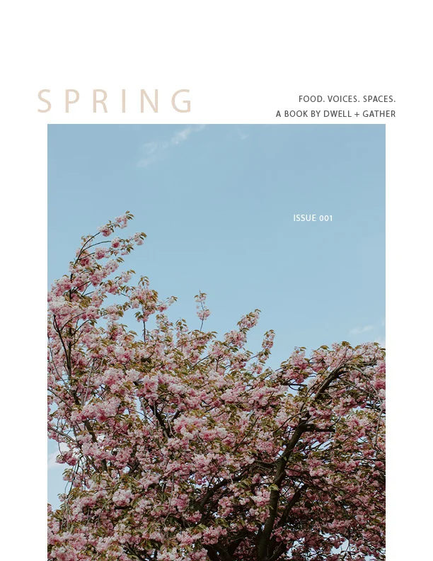 Spring eBook