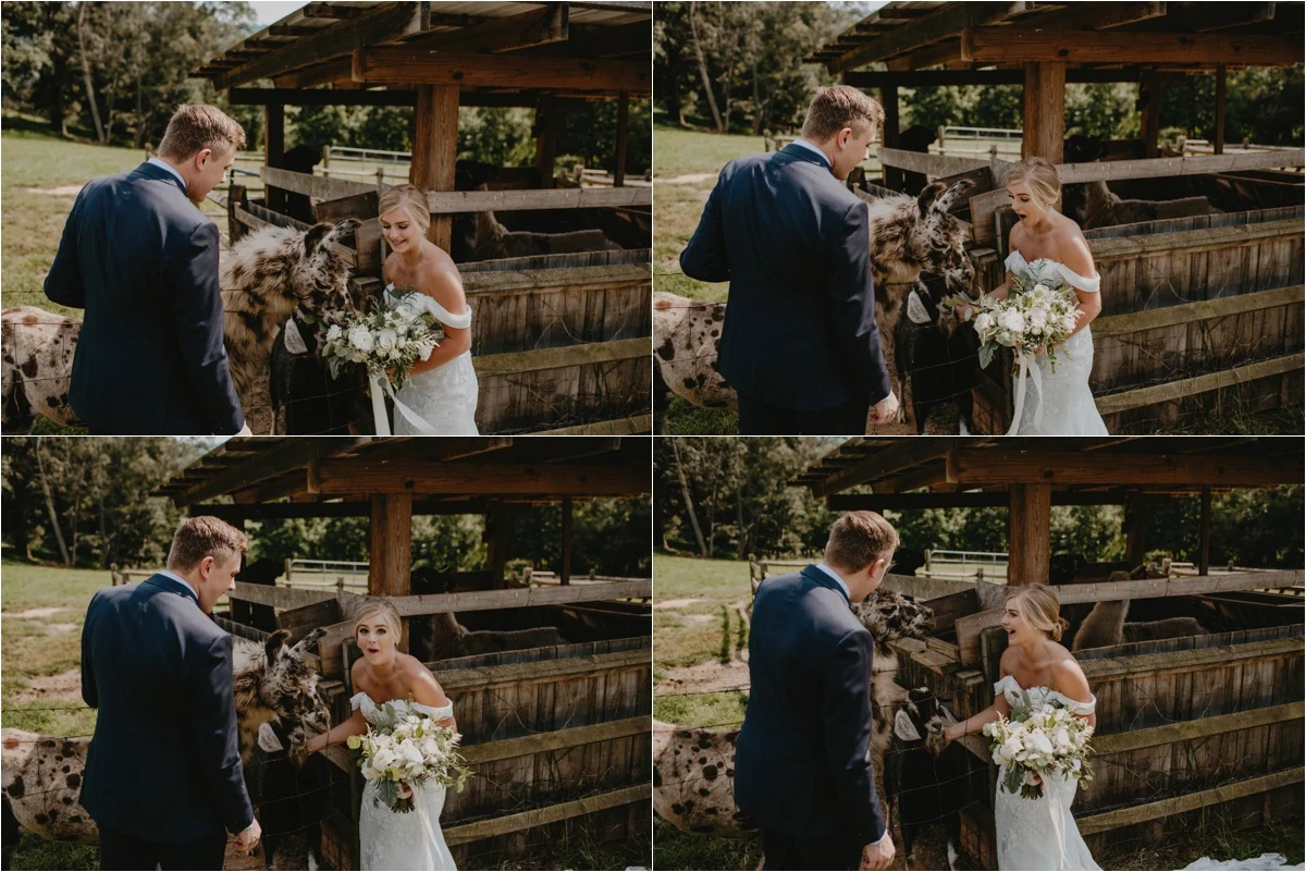 claxton-farm-summer-intimate-wedding-asheville_0060.jpg