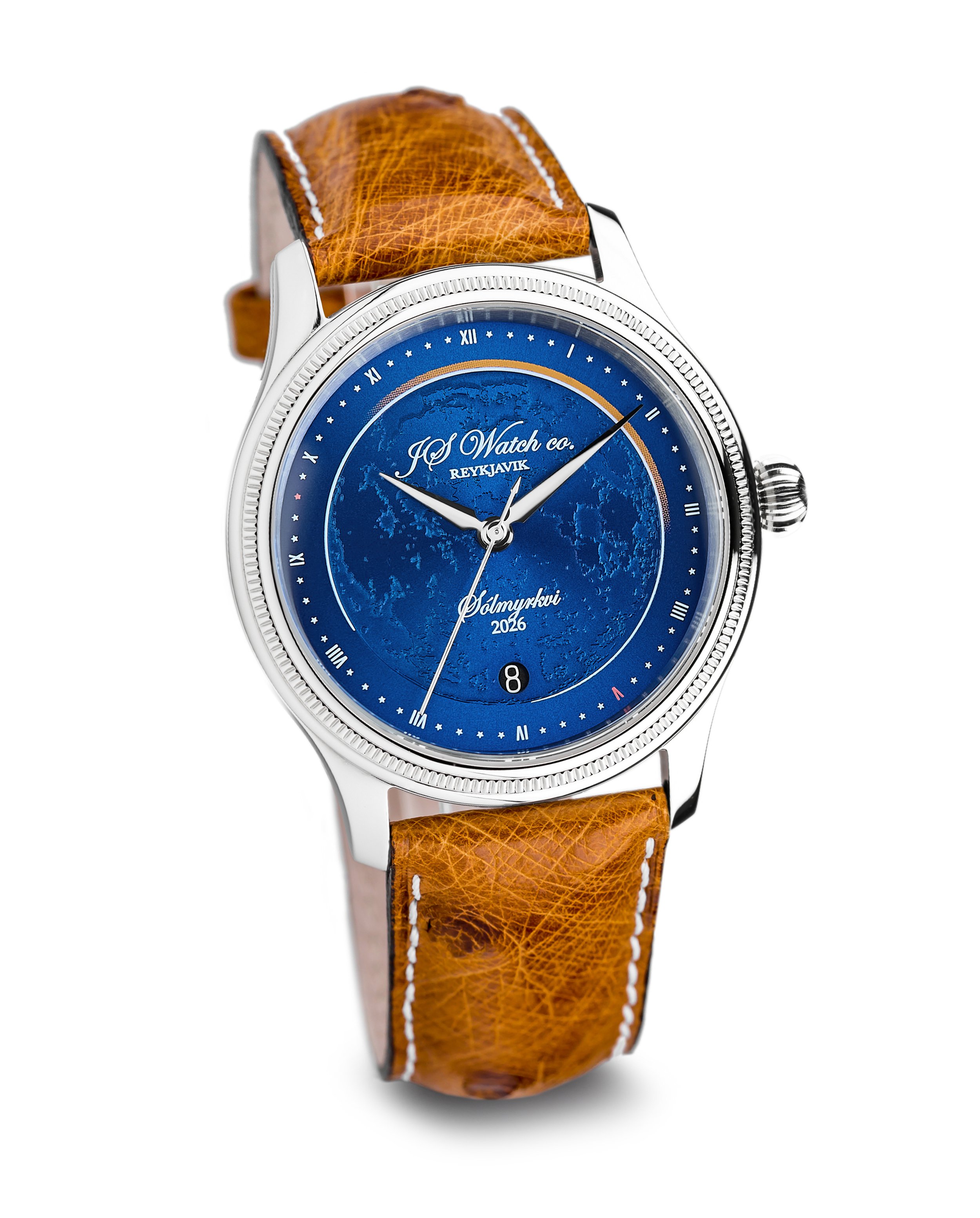 Eclipse blue - brown ostrich.jpg (Copy)