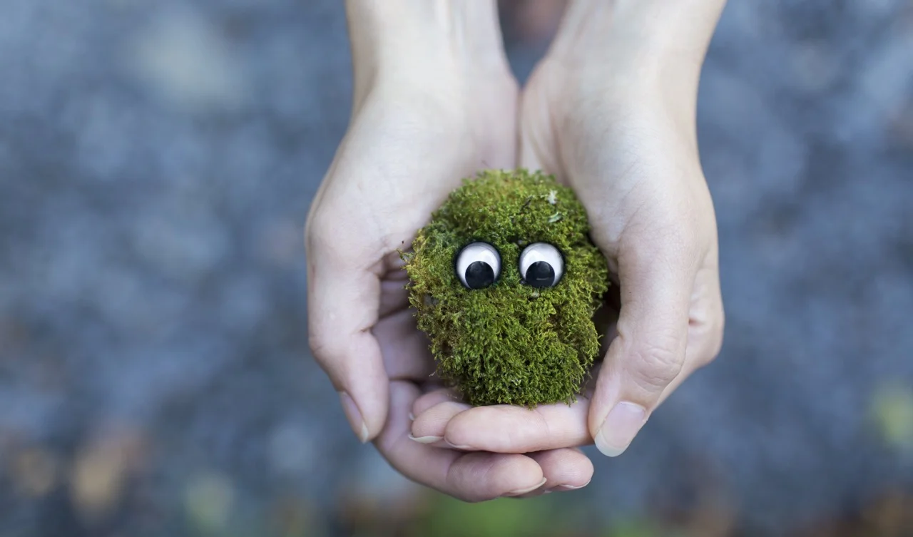 Being Eco-Friendly Isn't Just For Hipsters