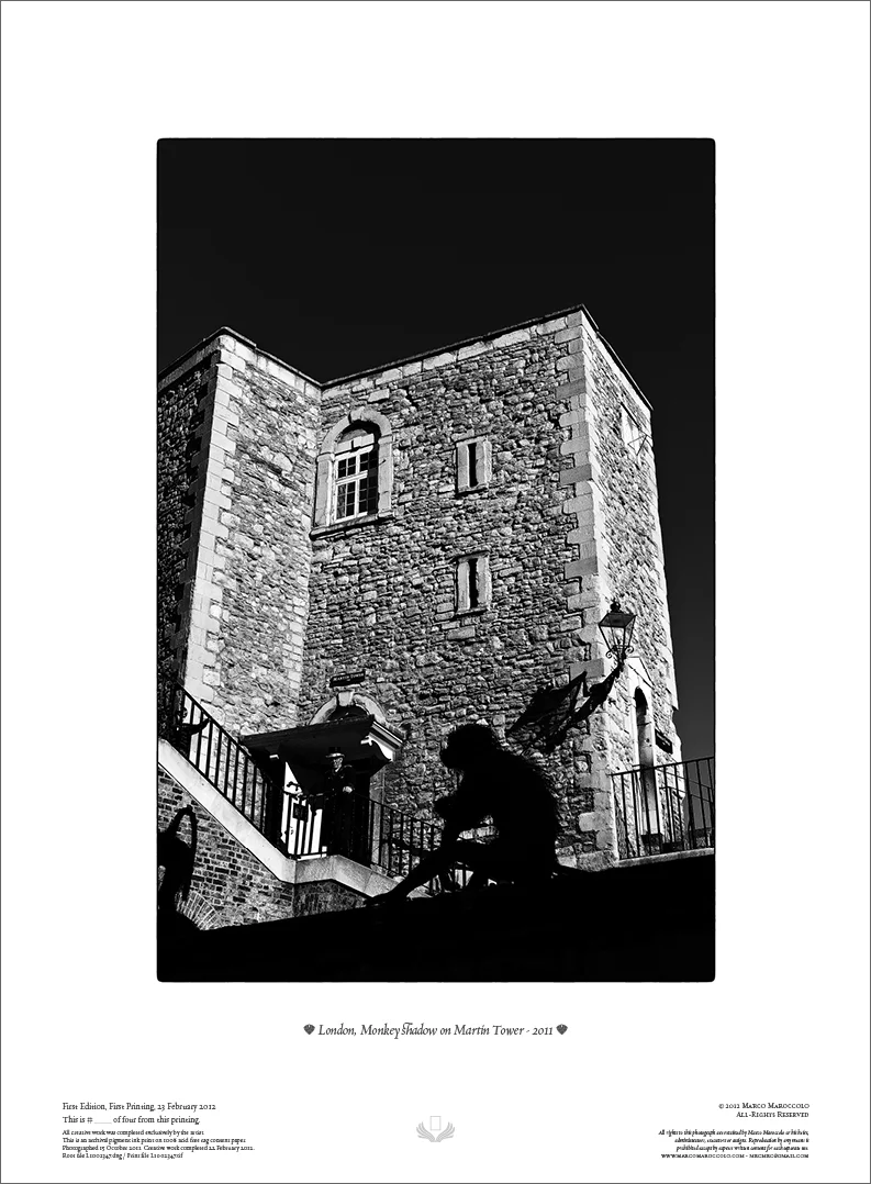 London, Monkey shadow on Martin Tower - 2011