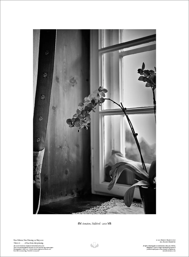Amaten, Südtirol - 2010