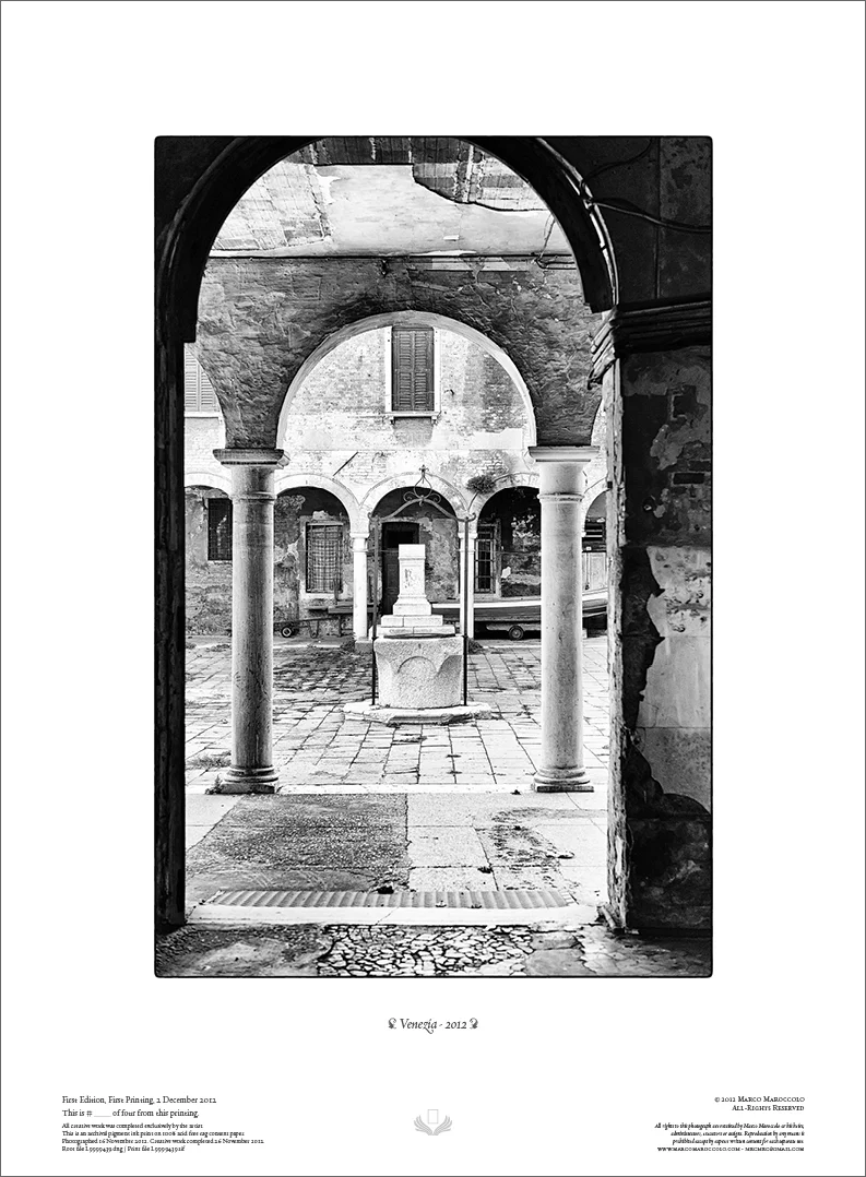 Venezia, 2012 - plate X