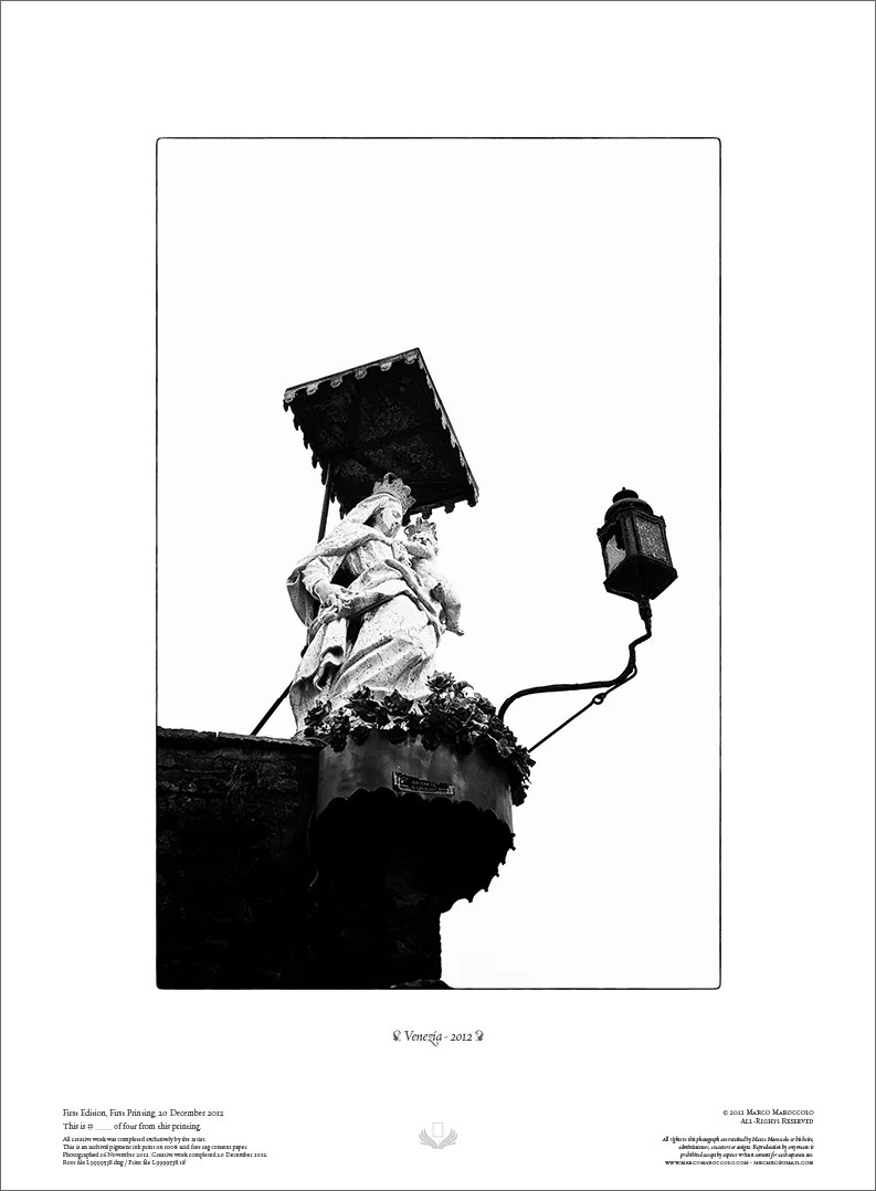 Venezia, 2012 - plate XV