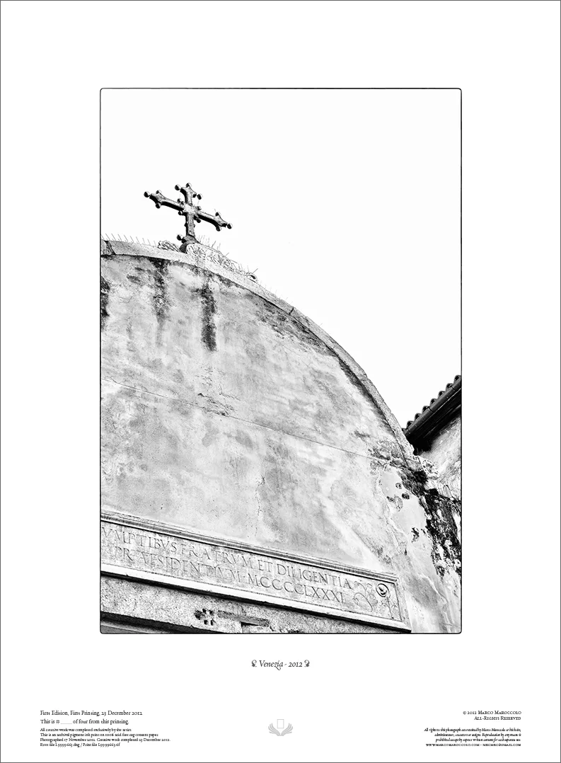 Venezia, 2012 - plate XX